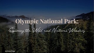 Olympic National Park: Exploring the Wild and Natural Wonders | Stufftodo.us