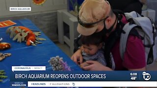 Birch Aquarium reopens outdoor spaces