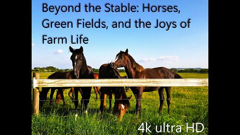 Beyond the Stable: Horses, Green Fields, and the Joys of Farm Life