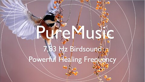 7.83Hz Singing Birds | Pure Relaxation | Fast Healing Frequency