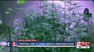 "United Proposal" aims to shape medical marijuana rules