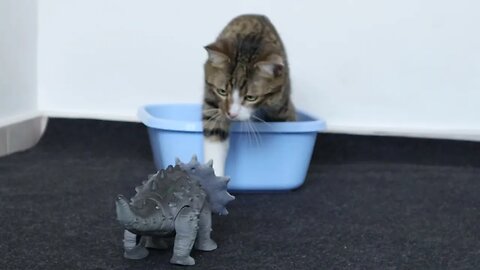 Funny Cat Reaction to Dinosaur