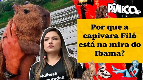 DEPUTADA JOANA DARC: “AGENOR VEM SENDO ACUSADO COMO SE FOSSE O MAIOR CRIMINOSO DO AMAZONAS”