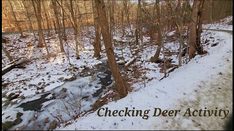 Finding Winter Deer Activity
