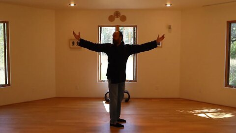 TAI CHI - QIGONG TRAINING