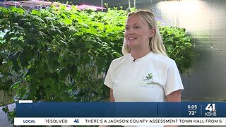 Kansas City hydroponic farm growing in an East Bottoms warehouse