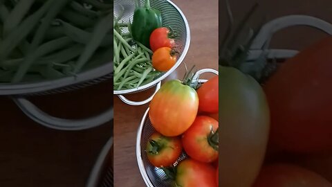 A lovely garden harvest!