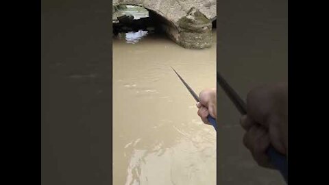Best Rural Fishing Video 🐟