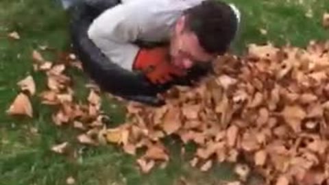 Dad demonstrates best possible way to bag leaves