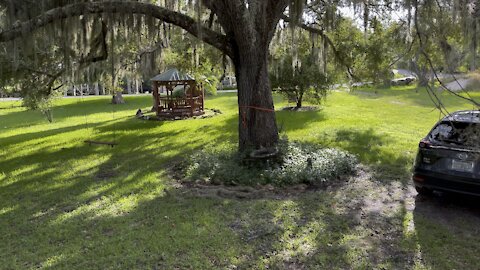 The lodge Suwannee River￼- 4K