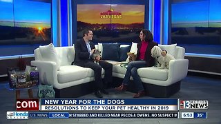 New Years resolutions for the dogs