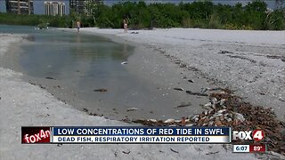 Red tide located in Collier County