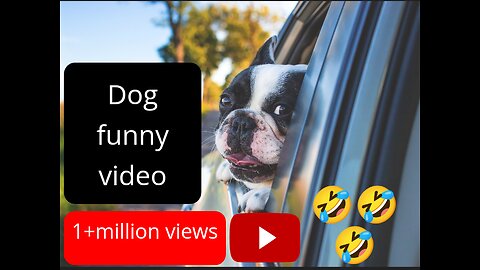 Try not to Lauge😅funny video animal😜#short#funnyvideo