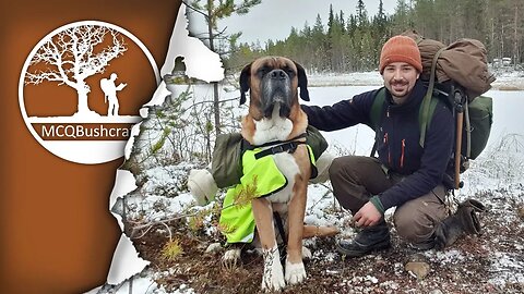 Early Winter Overnight Camping with my Dog in the Wilderness