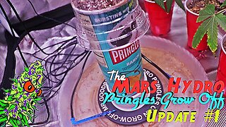 Mars Hydro Goodbuds Pringles Grow Off Update #1 | Using Ankway Solar Powered Drip Feed