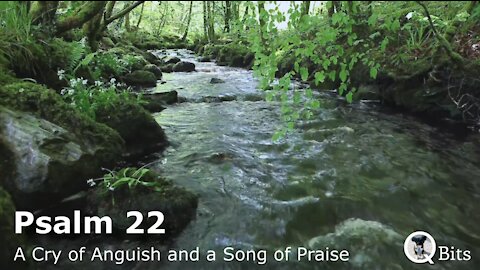 PSALM 022 // A CRY OF ANGUISH AND A SONG OF PRAISE