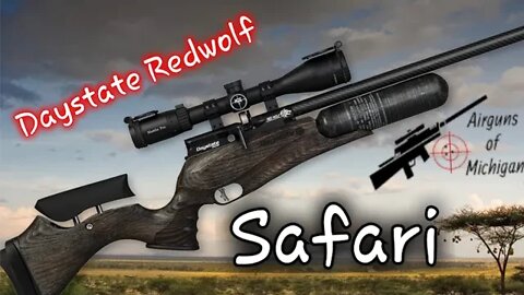 Daystate Redwolf Safari 25 caliber intro