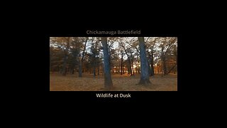 chickamauga battlefield