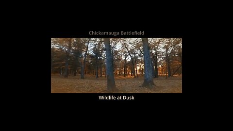 chickamauga battlefield