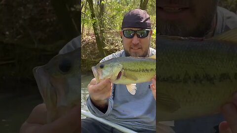 Kayak Creek Fishing Adventure and Fishin Mission!