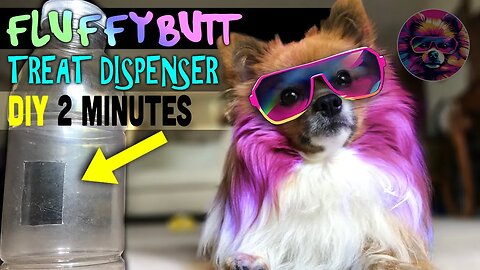 How to entertain your DOG for hours? ...DIY Dog Project