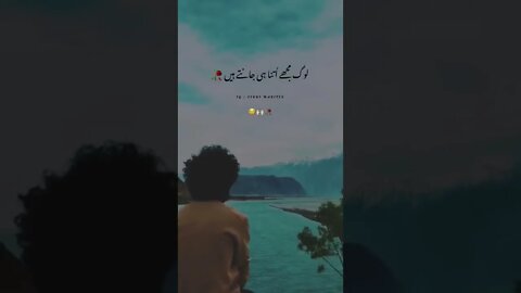 Heart Touching Shayari 💔 Collection -- Sad 😭2022 video..