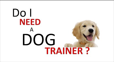 Do I Need A Dog Trainer?