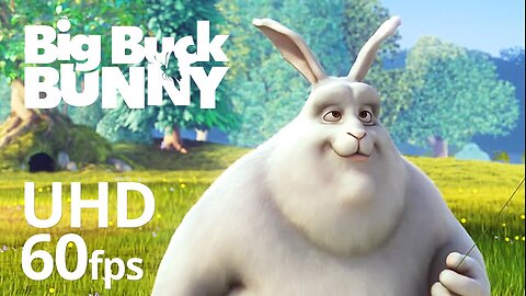 Big Buck Bunny 60fps 4K - Official Short Film
