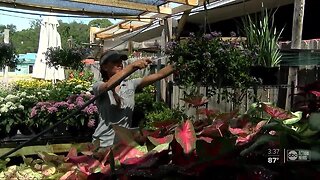 Tampa garden shop keeps business alive with house calls