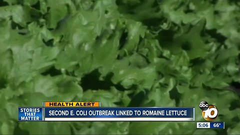 Second E.coli outbreak this year linked to romaine lettuce