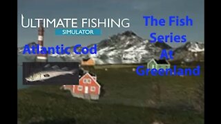 Ultimate Fishing Simulator: The Fish - Greenland - Atlantic Cod - [00081]
