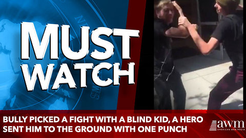 bully picked a fight with a blind kid, a hero sent him to the ground with one punch