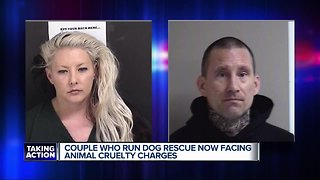 Couple who run dog rescue now facing animal cruelty charges