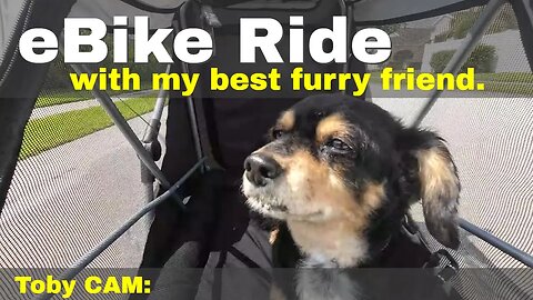 eBike Ride with my dog Toby