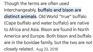 buffalo and bison are distinct animal