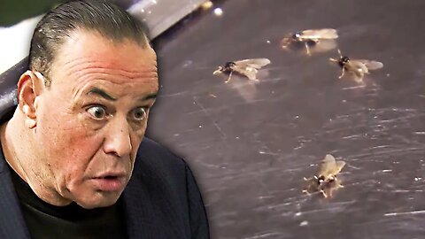 This Is The GROSSEST Kitchen EVER On Bar Rescue!