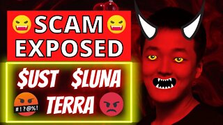 Is the Terra Labs $UST $LUNA Debacle Really Just The Largest Scam to Ever Happen In Crypto ???
