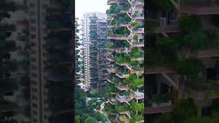 Chengdu's Qiyi City Forest Garden pilot project in the Chinese metropolis of Chengdu...