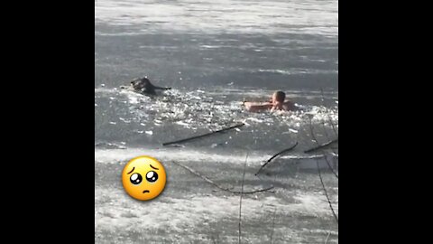Brave Man Rescued A Dog In Frozen Lake!