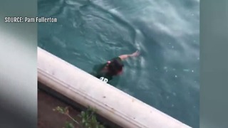 Woman seen swimming in Bellagio fountains