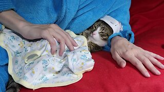 Baby Cat Stretches His Toe Beans