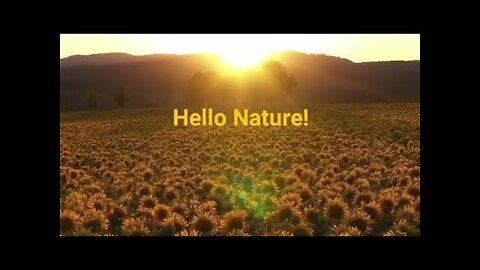 Hello Nature!
