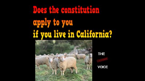 Does the constitution apply to you if you are California?