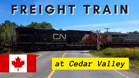 Freight Train Going by in Cedar Valley (Very Long Train)