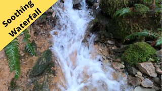 Soothing waterfall on the back roads of Snoqualmie Washington