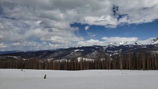 Is this Proof of a Weakening Magnetosphere? Miles of dead trees above 10,000 Elevation