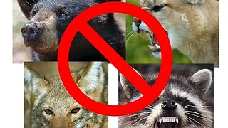 Keep Wild Animals out of your Camp