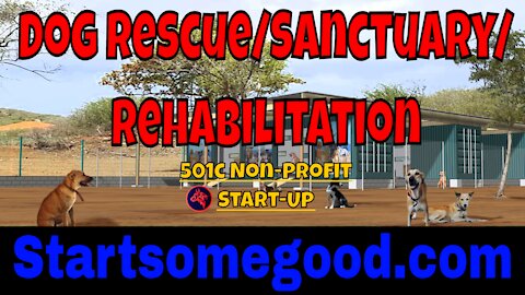 Starting a Dog Rescue/Rehab/Sanctuary on StartSomeGood.com