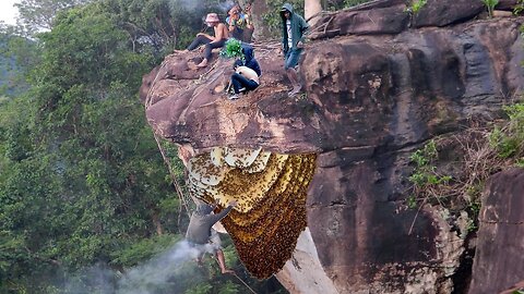 Primitive Technology Amazing Find Giant HoneyBee For Food On The Cliff Honey