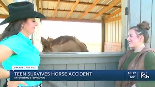 Teen survives horse accident after being stepped on